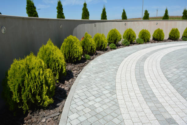 Best Commercial Driveway Pavers  in Northfield, KY